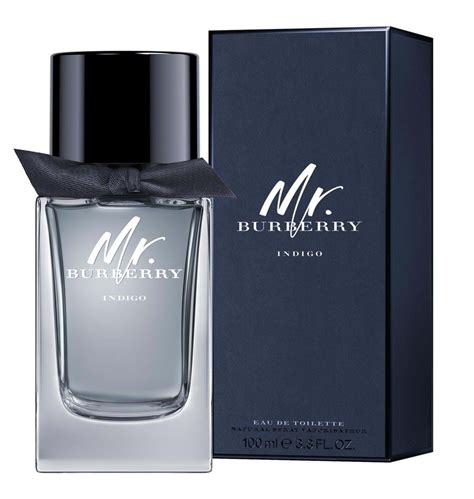 mr burberry indigo eau de parfum|mr Burberry indigo 100ml.